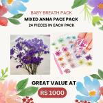 24 pcs Baby Breath Pack